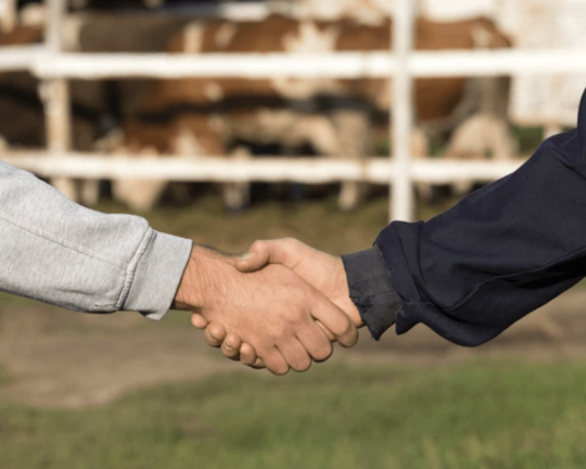 Flexible Trade Solutions