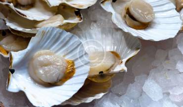 A safe way to exotic seafood tasting