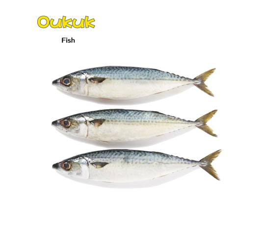 OKUKU Fish