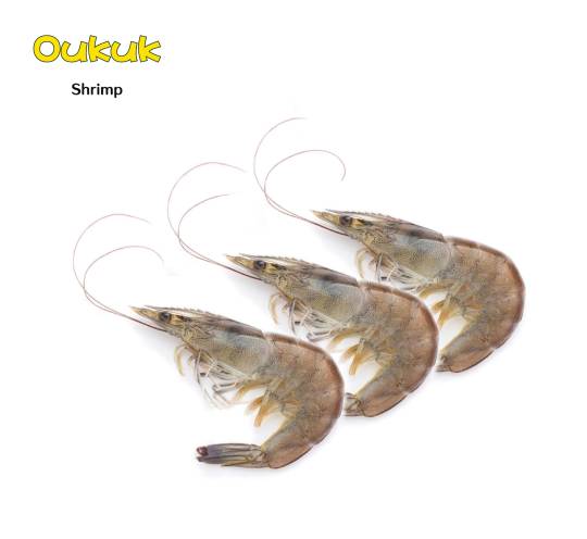 OKUKU Shrimp