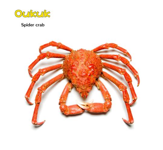 OKUKU Spider Crab